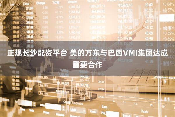 正规长沙配资平台 美的万东与巴西VMI集团达成重要合作